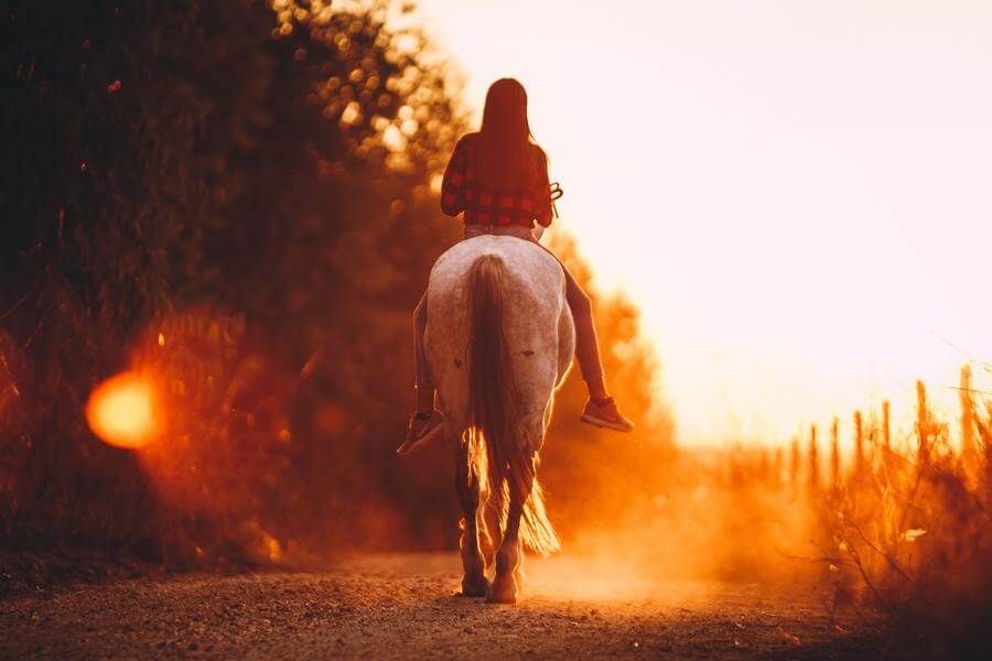 Pferde-Reiten