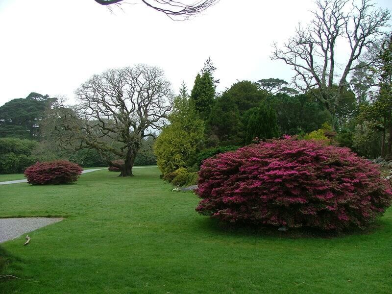 412 Muckross 2