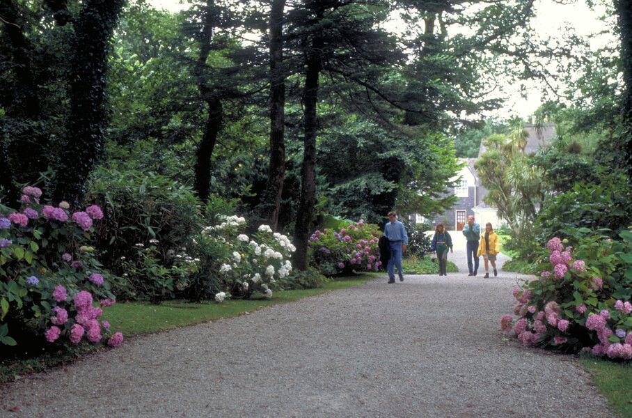 56 Derrynane gardens