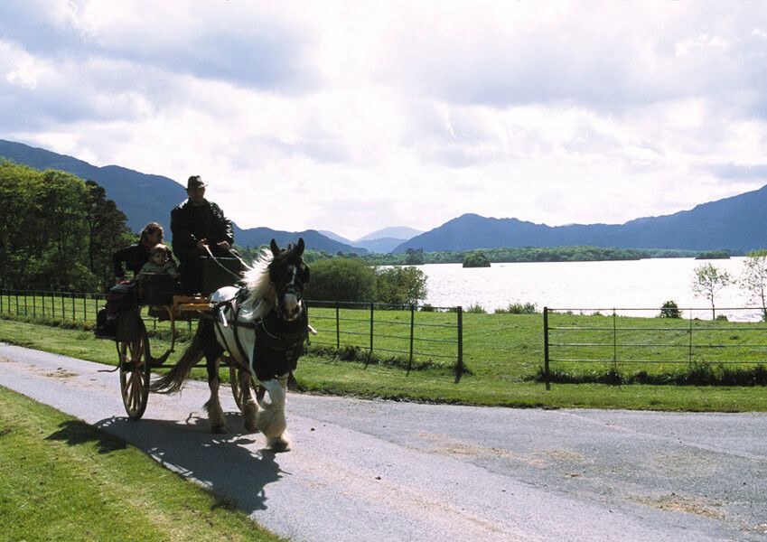 279 Jaunting car