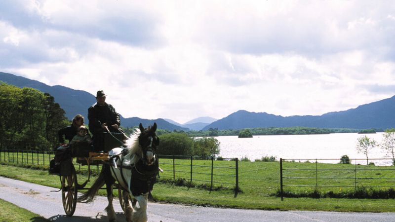 279 voiture Jaunting